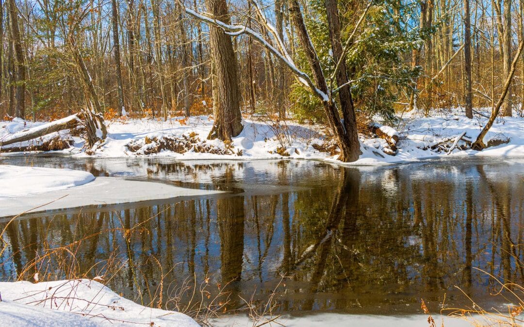 Scantic Spring Splash to kick off the season