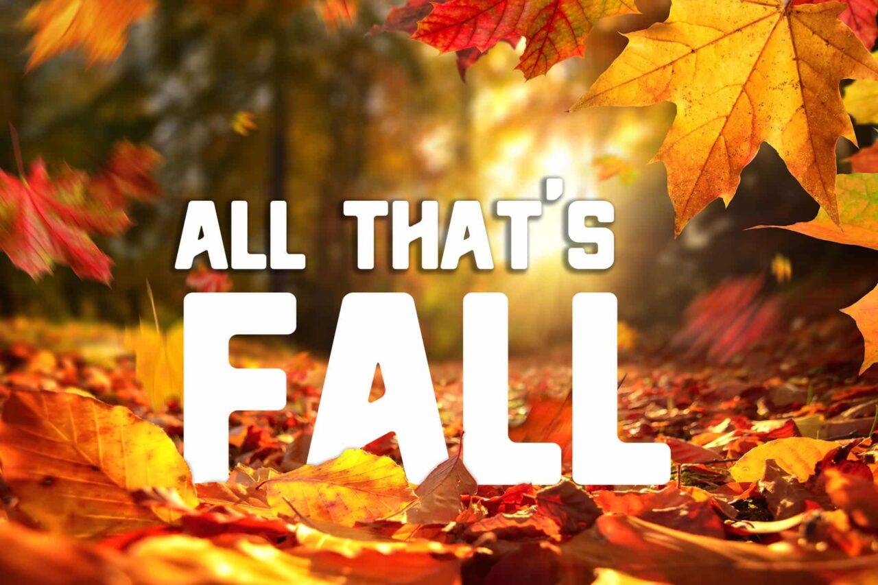 Fall Remember Special Sections - The Reminder