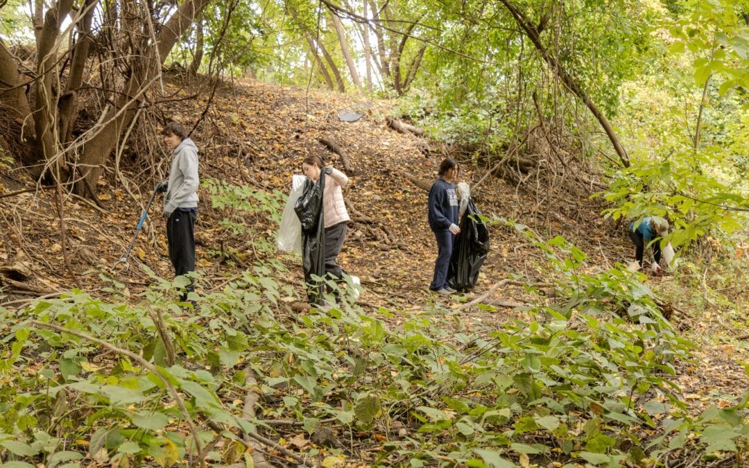 High river levels may postpone shoreline cleanup in Agawam