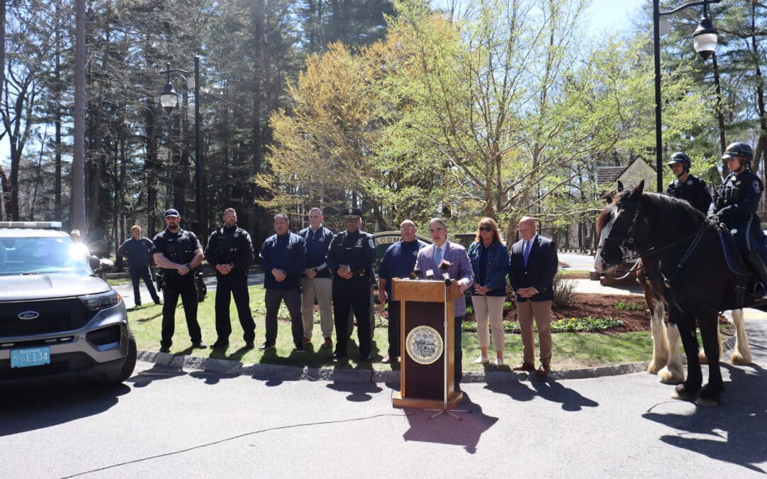 Forest Park Sheriff’s Department patrols will continue, expand