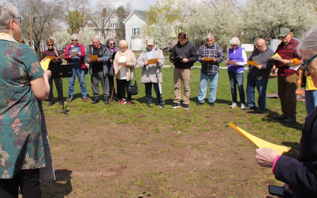 Church in Westfield replaces felled beech with 2 new trees
