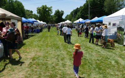 Asparagus Festival returns to celebrate 10th year