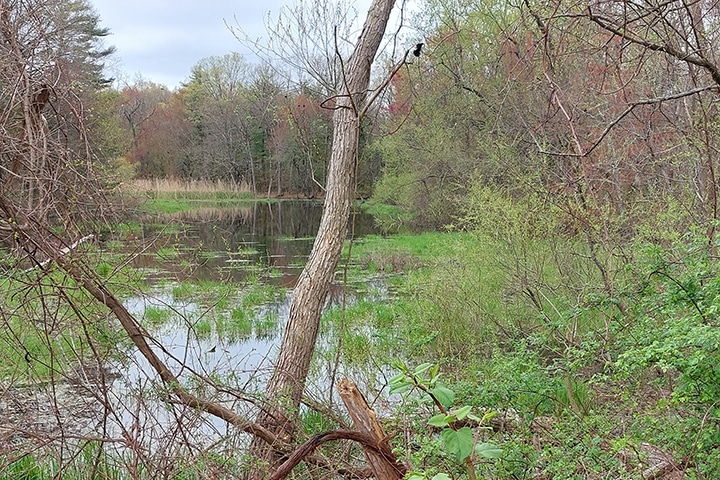 Outer Belt residents concerned construction will leave them under water