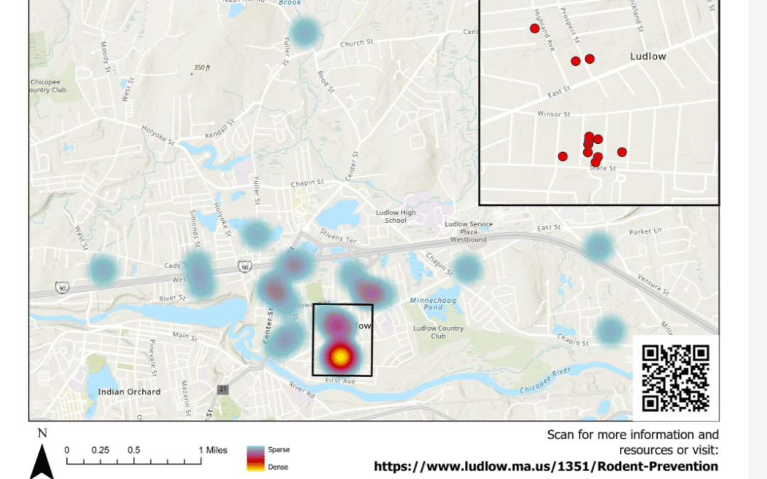 Ludlow Health Department: residents can help reduce rodents