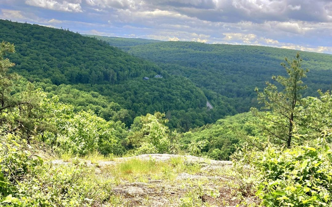 Hilltown Hikers embrace adventure, conservation, history