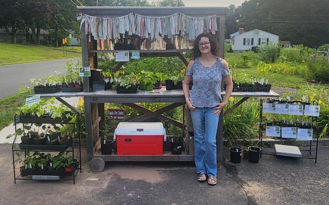 The Kelley Family Homestead raises awareness for native plants