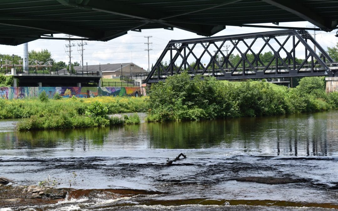 Revitalized river association plans picnic