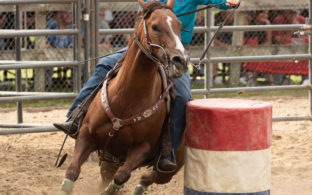 96th Westfield Fair promotes agriculture, entertainment