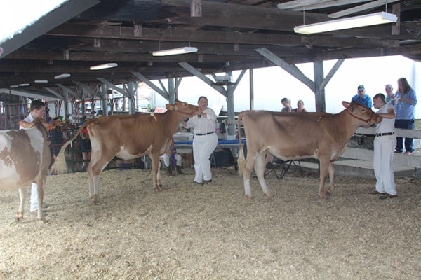 Cummington Fair will soon return for 156th year