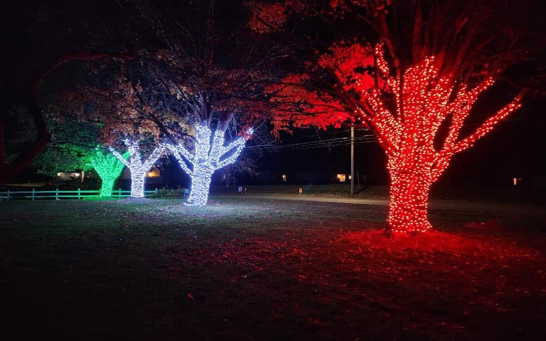 McCray’s Holiday Light Stroll set to be biggest spectacle yet