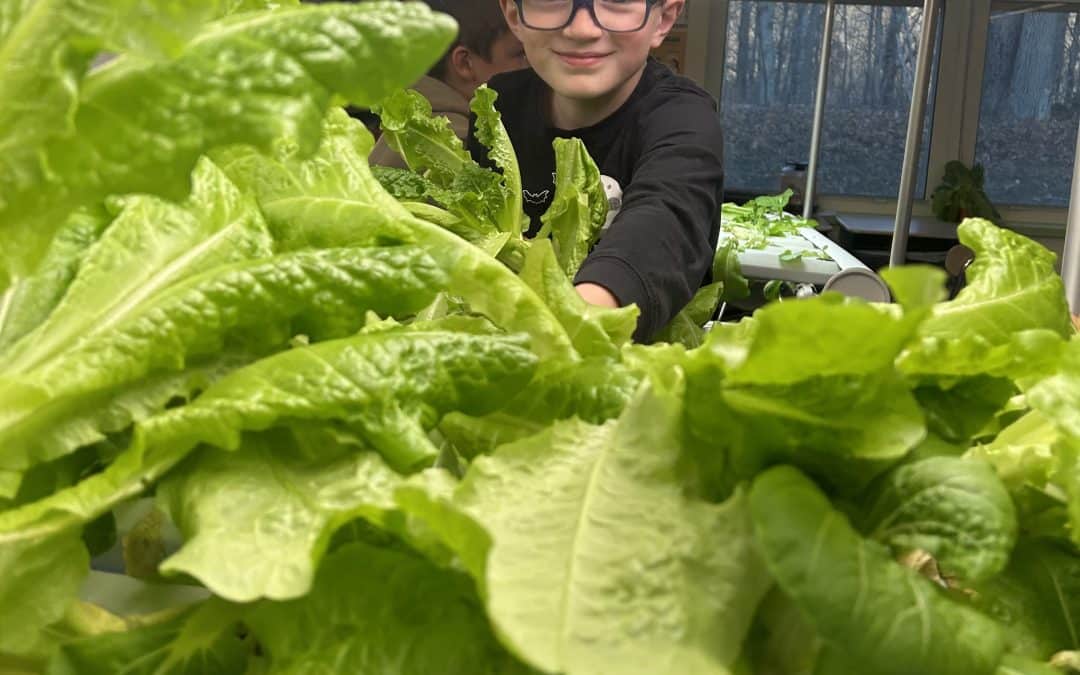 Students at Chester Elementary enjoy ‘fruits’ of their labor