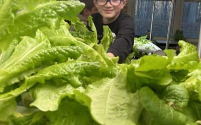 Students at Chester Elementary enjoy ‘fruits’ of their labor
