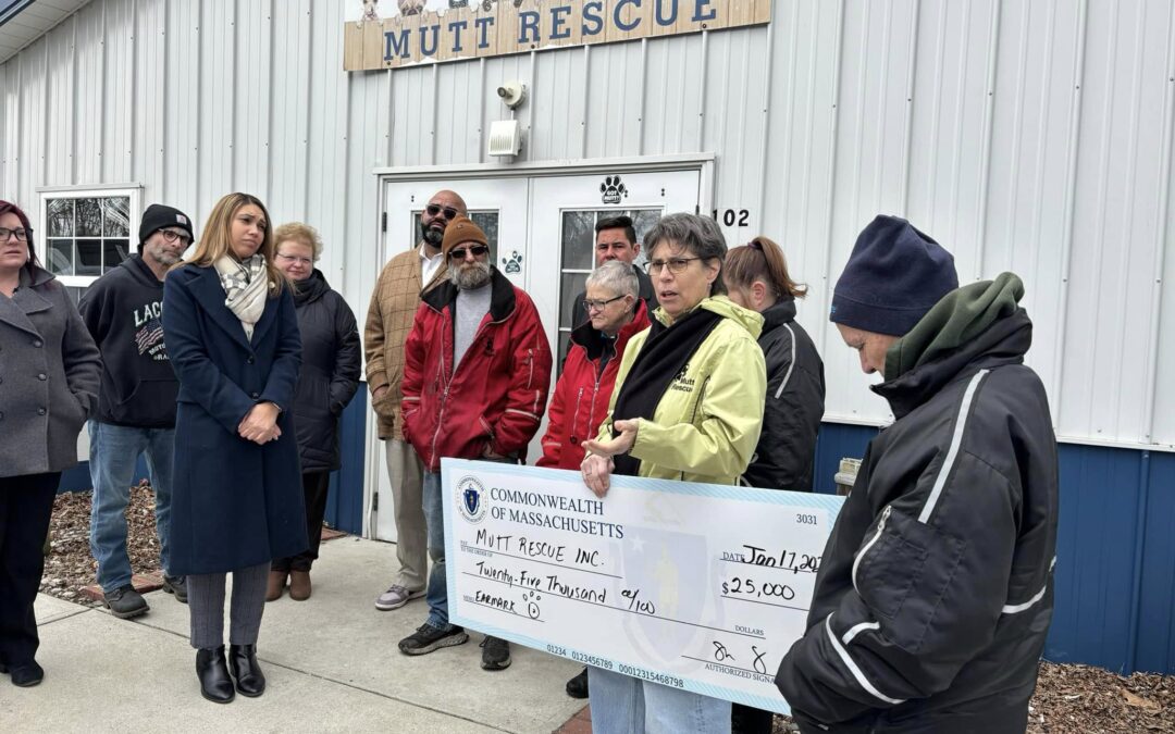 Mutt Rescue closes doors after license doesn’t get renewed