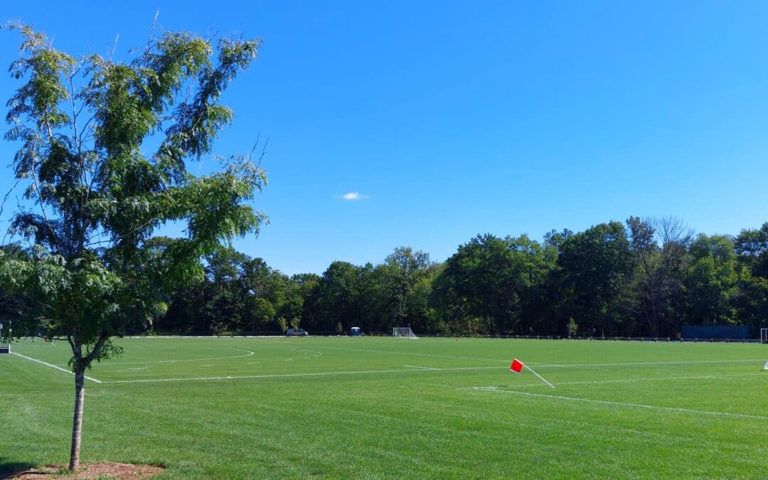 Survey seeks opinions on athletic fields, turf at LHS stadium