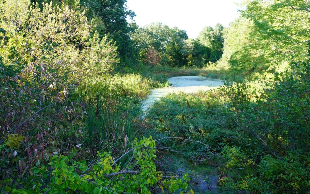 Town halts Berkshire Avenue land donation process