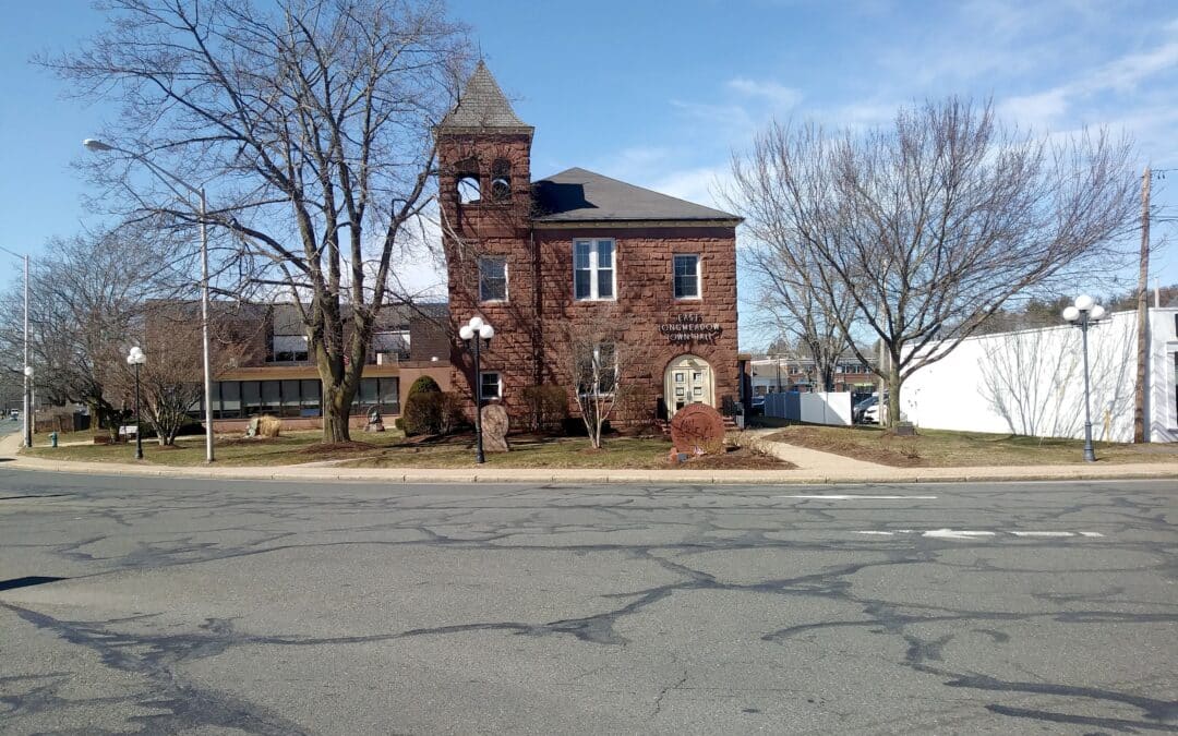 East Longmeadow Planning Board chair rebukes business owner, neighbor arguing over picnic tables