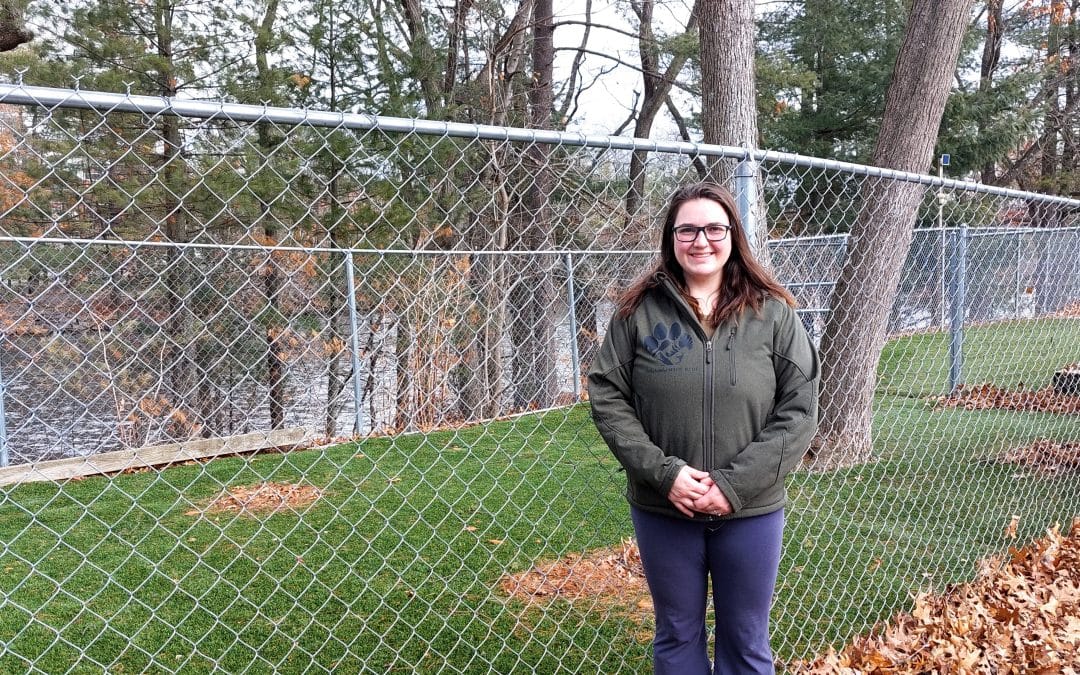 Mountain View Dogs training business comes to Wilbraham
