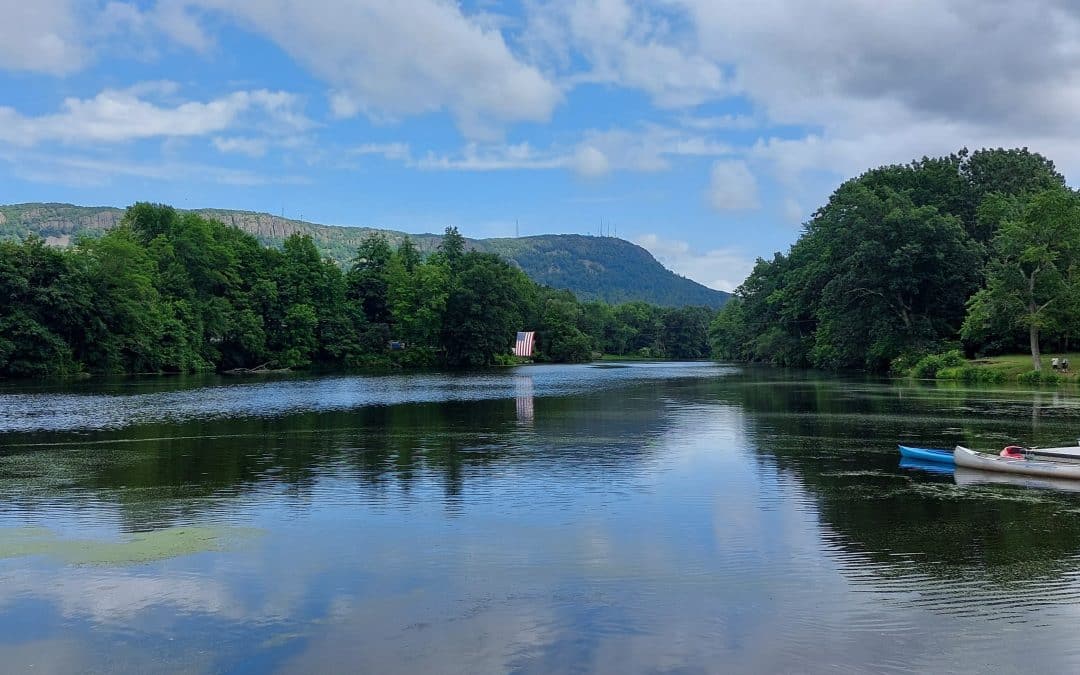 Commission denies $31,000 CPA request for Easthampton Dog Park