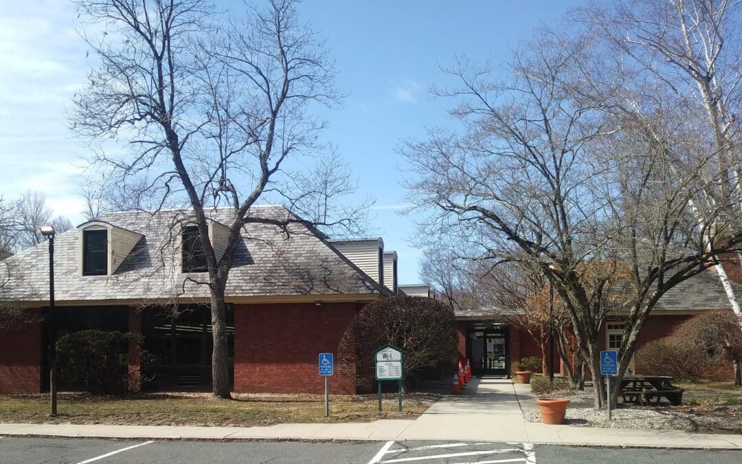 Wilbraham Friends of the Library launch annual spring plant sale
