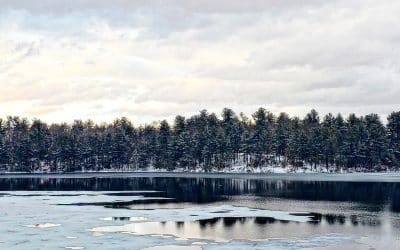 Southwick Cultural Council to host 24th Annual Fine Art Exhibition Show