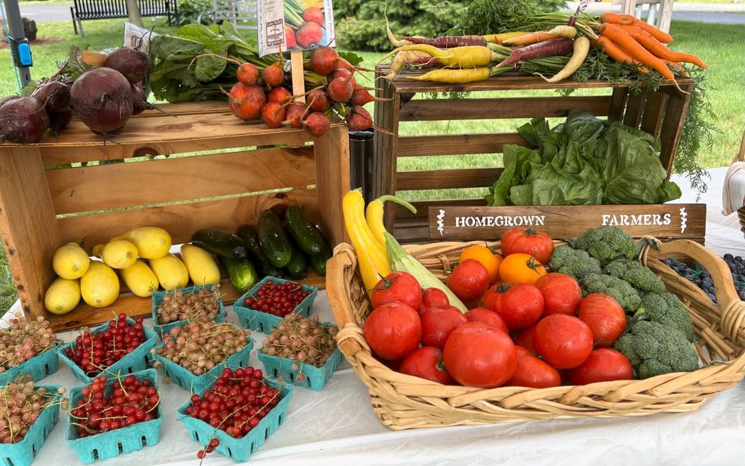 East Longmeadow Farmers Market grows in size, vendor variety this season