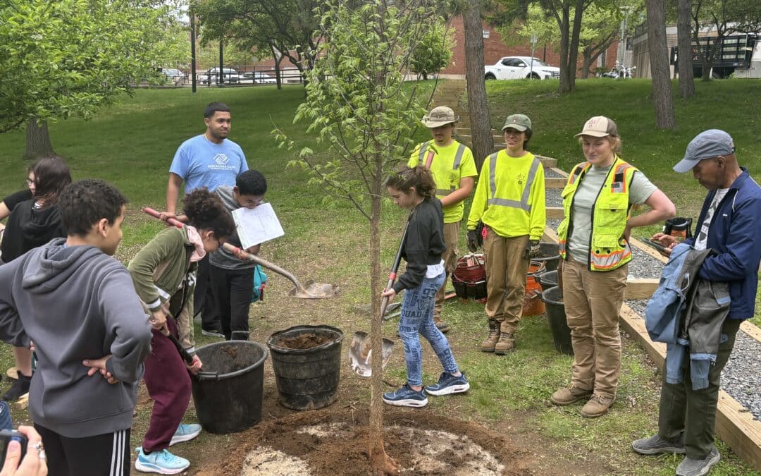 Holyoke celebrates Arbor Day and nature