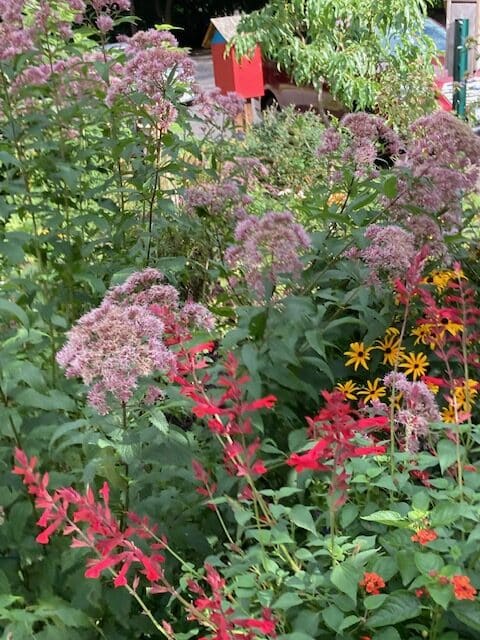 Friends of Forbes Library garden tour set to return June 14