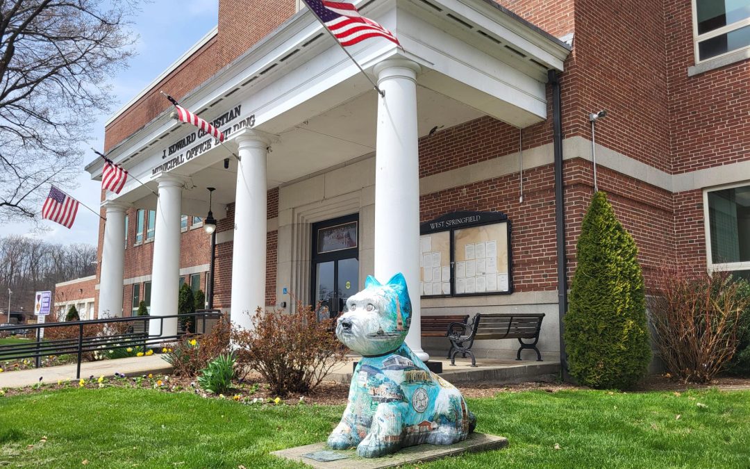 West Springfield Charter Review Committee discusses potential revisions