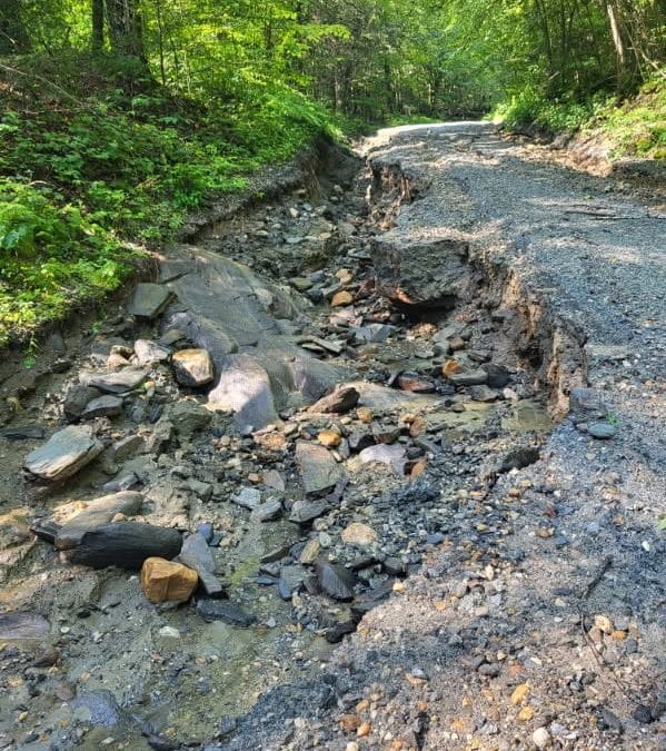 Chester sees storm damage, five inches of rain in two hours
