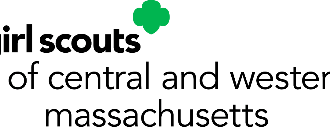 Girl Scouts Gold Award earners found ways to make positive change