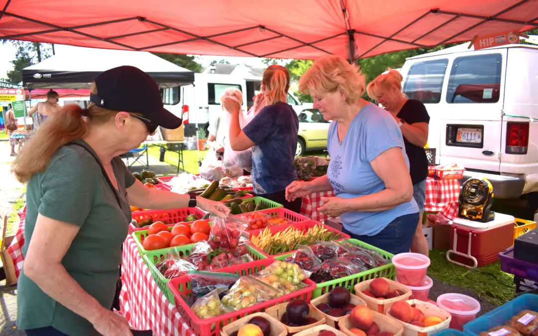 Westfield Farmer’s Market vendors are cheery despite heat