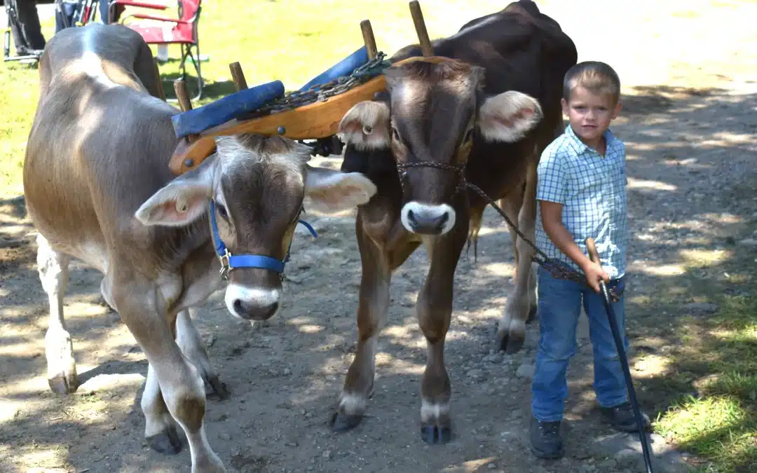 103rd Littleville Fair sees record-breaking attendance