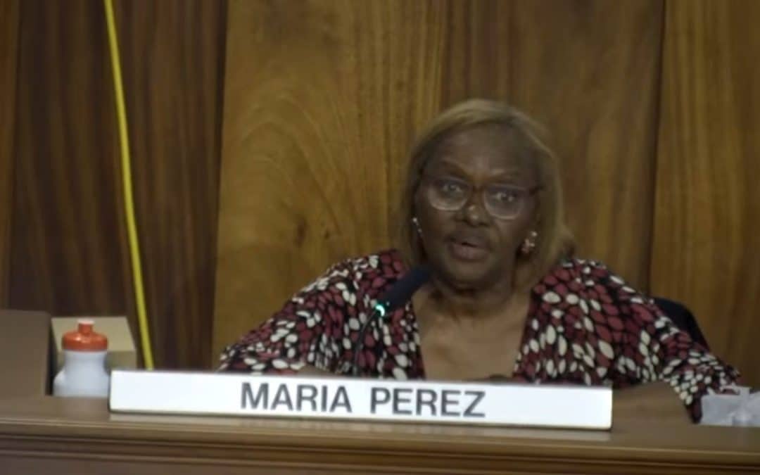 Springfield City Councilor Maria Perez fired from New North Citizens Council