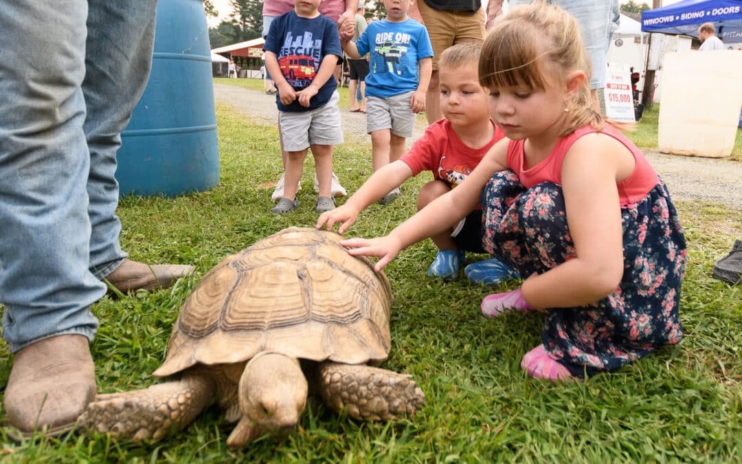 Westfield Fair returns Aug. 15-17