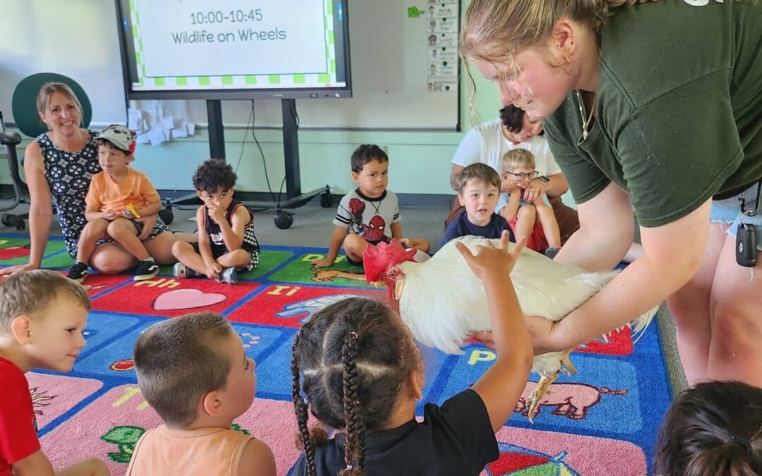 Westfield, Gateway Regional awarded state preschool grants