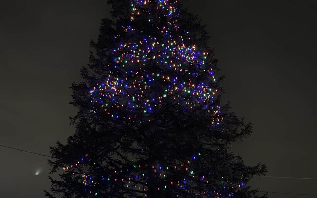 East Longmeadow Lions Club sponsors Christmas tree lighting
