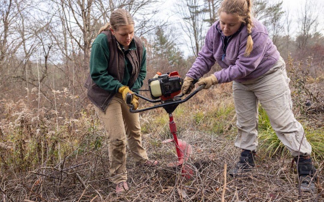 Project aims to protect endangered species