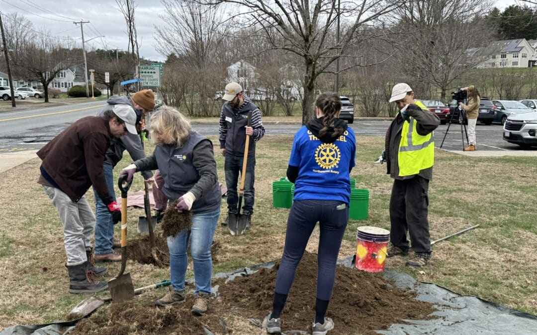 Northampton Rotary’s ‘Day of Service’ tree planting event returns April 18