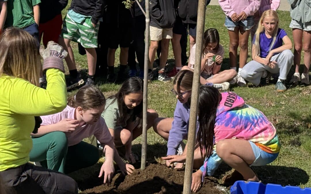 Longmeadow students become tree experts with Arbor Day celebrations