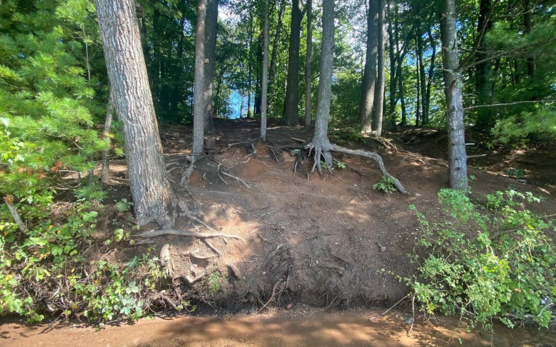 Southwick commission plan will restore parts of conservation area