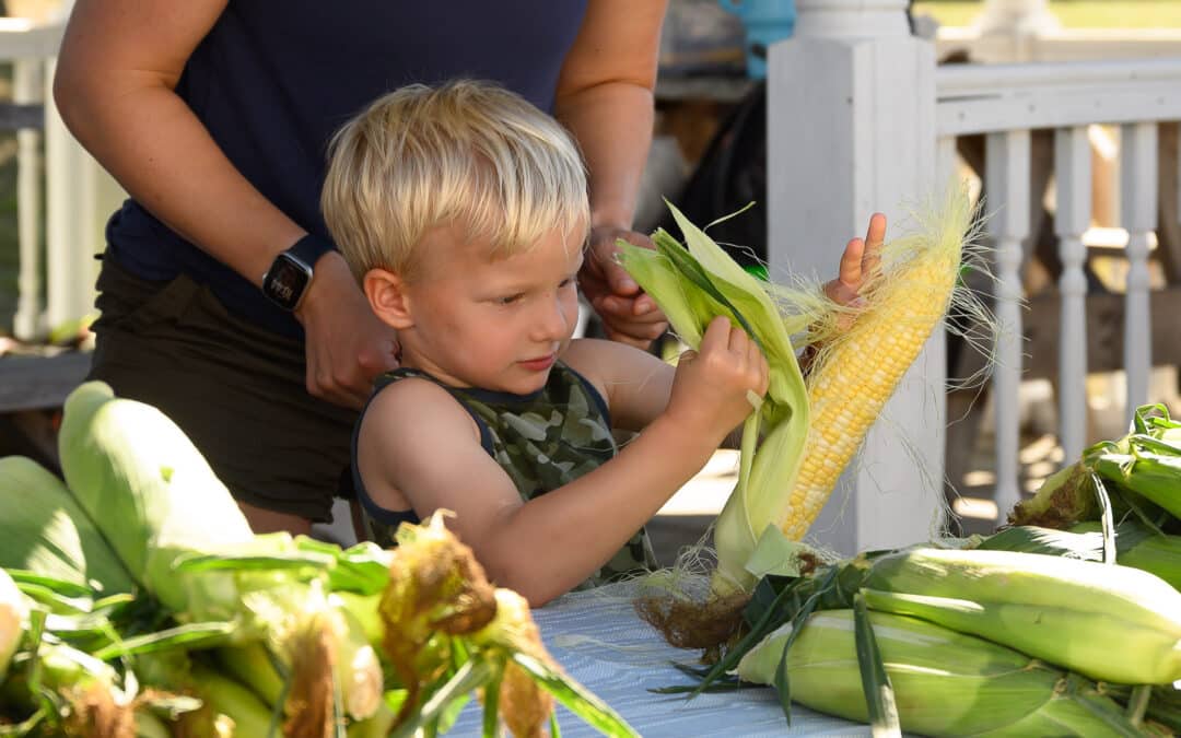 Blandford Fair returns Labor Day weekend with a full schedule of events for all ages