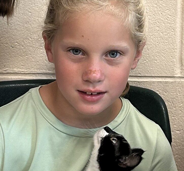 7-year-old from Agawam sells lemonade to raise money for Dakin Humane Society