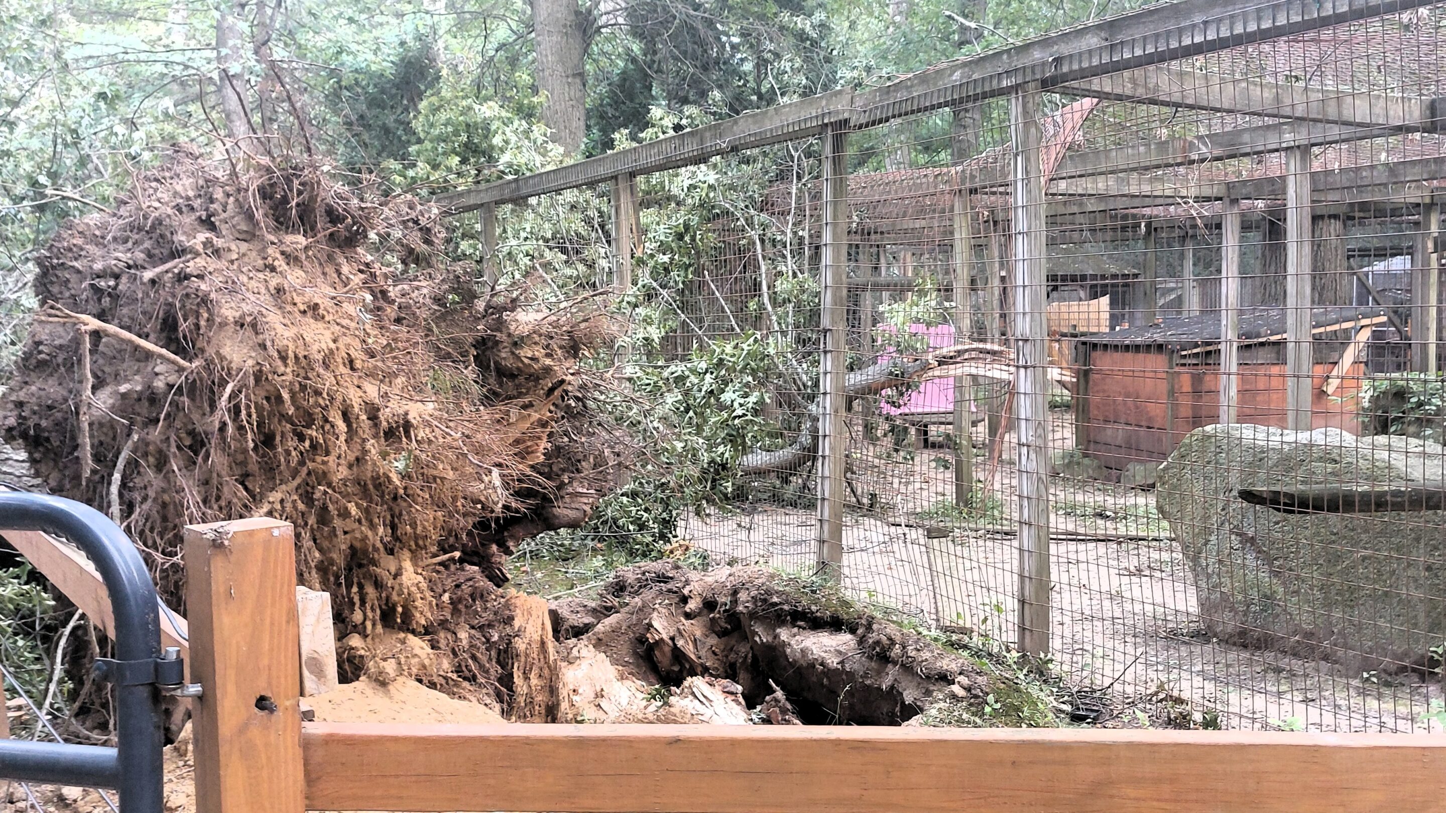 Forest Park Zoo damage 1