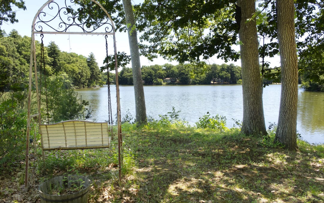Springfield Preservation Trust invites public to ‘Party at the Pond’