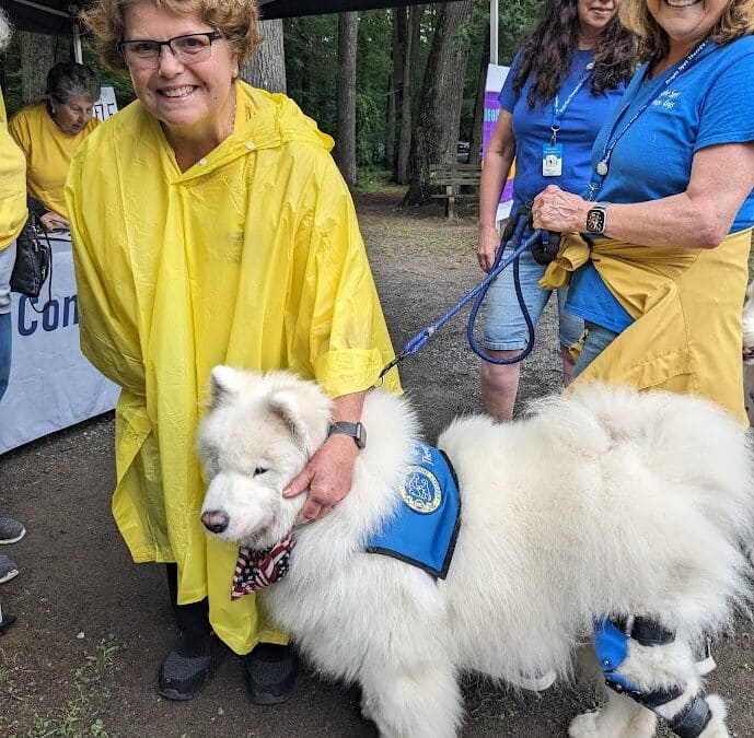 Vet Fest returns to Nonotuck Park Sept. 19