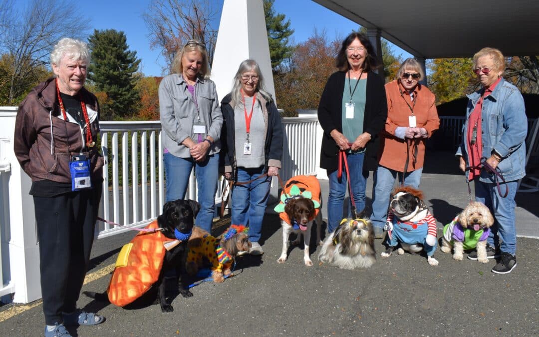 Therapy dogs brighten up visits in Halloween garb