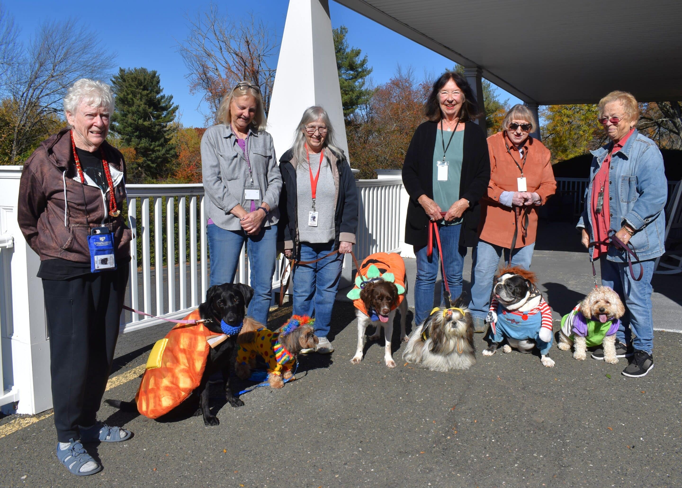 Therapy Dogs United dress for Halloween